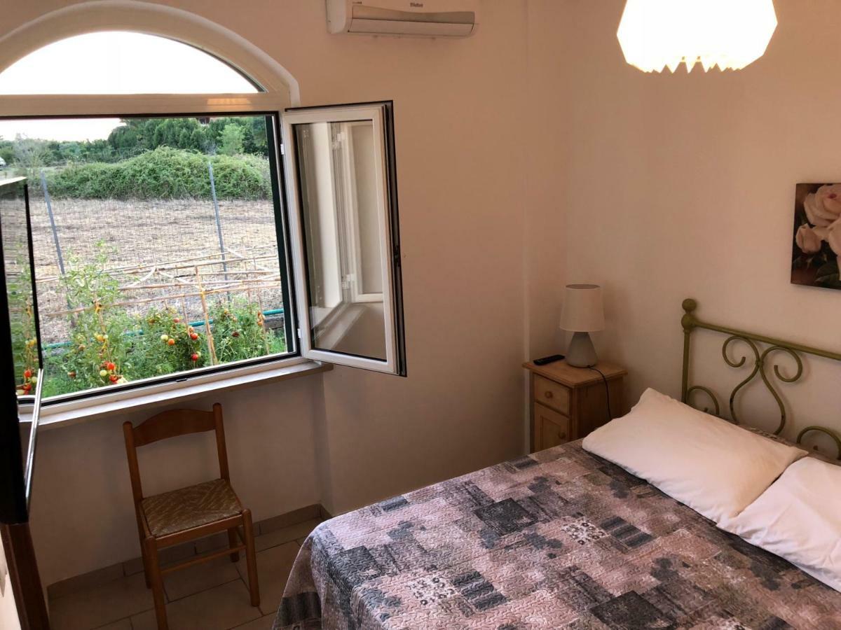 Agriturismo "Lo Zafferano" Aprilia Εξωτερικό φωτογραφία